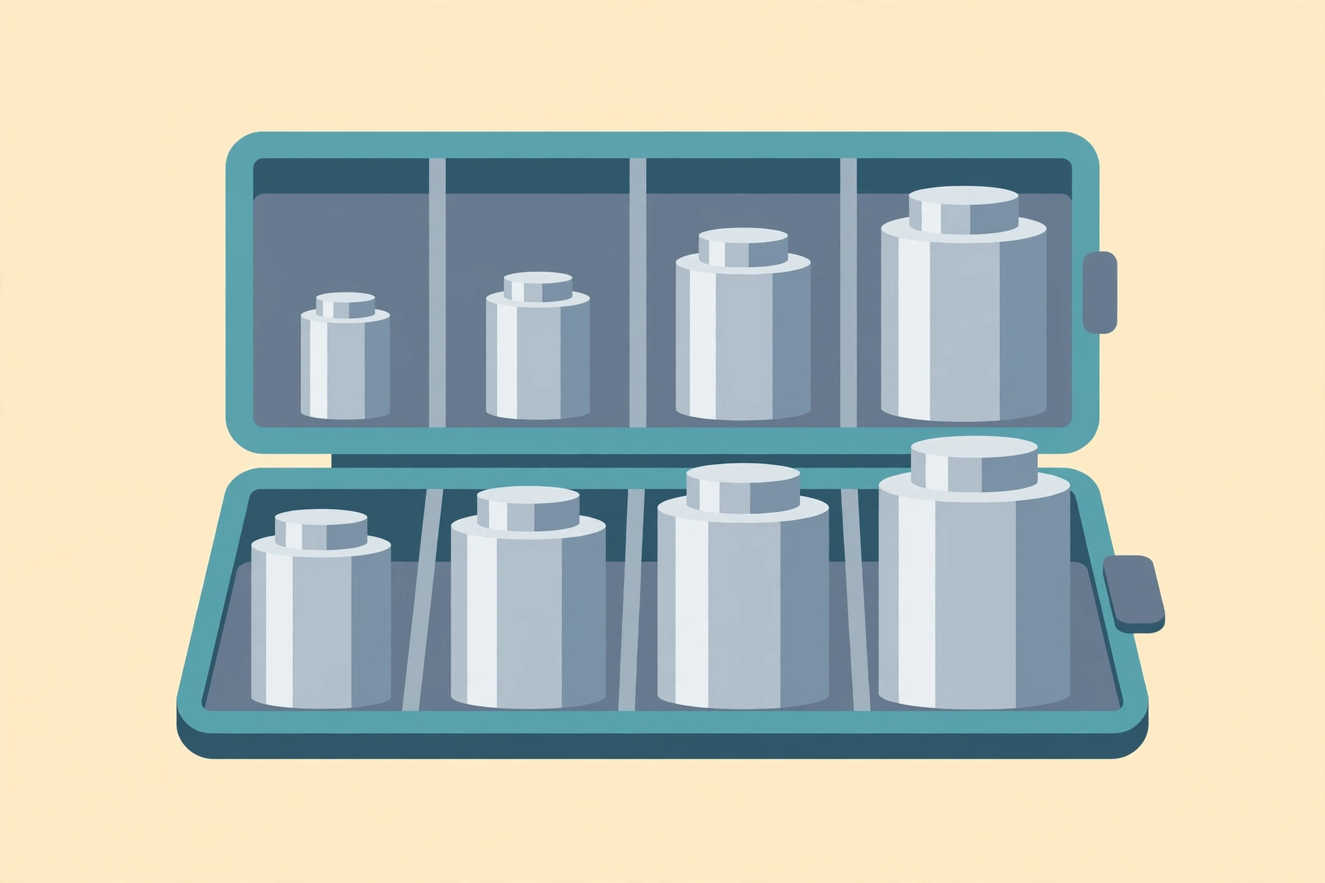 Illustration of the Bekith 1000g calibration weight set in storage case